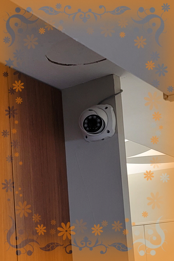 臺灣MIT高品質類比攝影機。
使用單位-民營企業